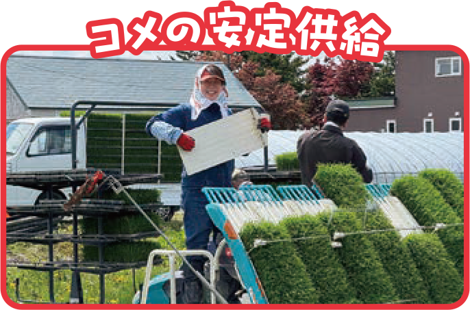 コメの安定供給